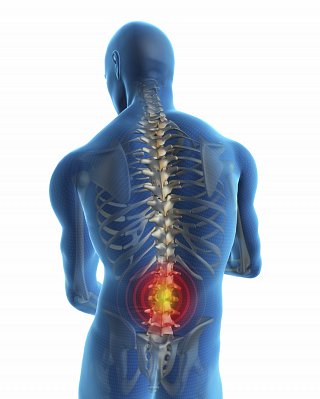 main causes of back pain